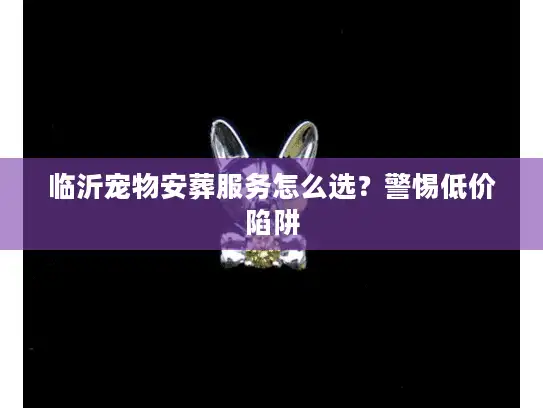 临沂宠物安葬服务怎么选？警惕低价陷阱