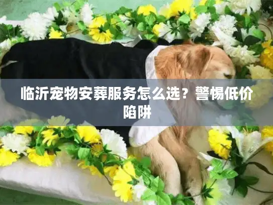 临沂宠物安葬服务怎么选？警惕低价陷阱