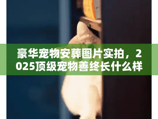 豪华宠物安葬图片实拍，2025顶级宠物善终长什么样？