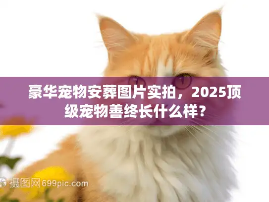 豪华宠物安葬图片实拍，2025顶级宠物善终长什么样？
