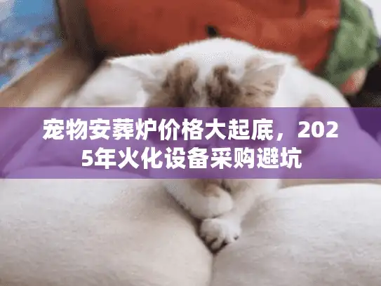 宠物安葬炉价格大起底，2025年火化设备采购避坑