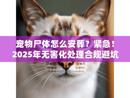 宠物尸体怎么安葬？紧急！2025年无害化处理合规避坑指南
