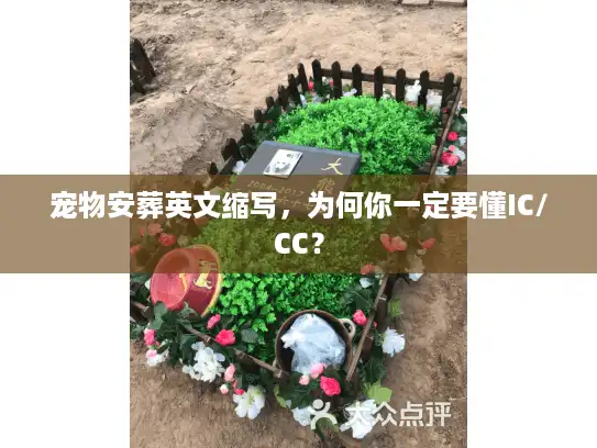 宠物安葬英文缩写，为何你一定要懂IC/CC？