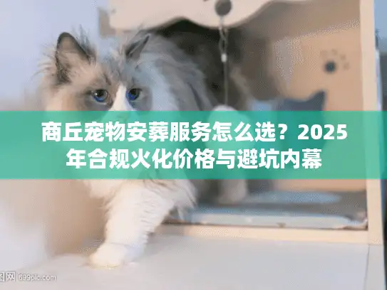 商丘宠物安葬服务怎么选？2025年合规火化价格与避坑内幕