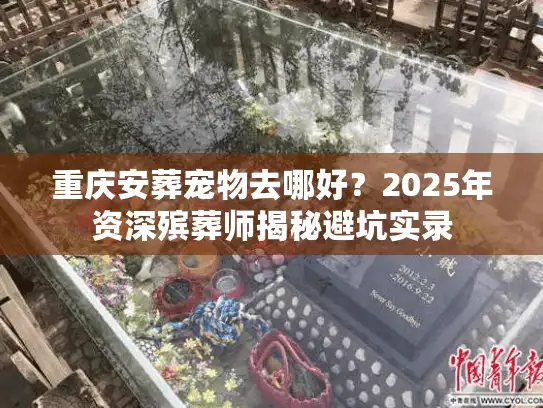 重庆安葬宠物去哪好？2025年资深殡葬师揭秘避坑实录