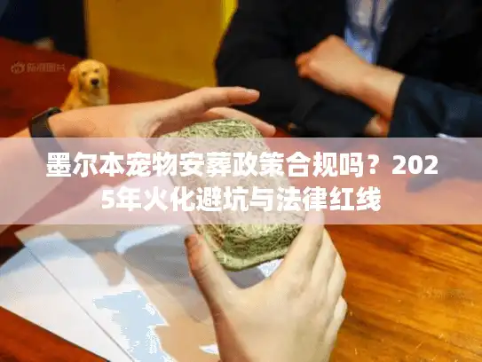 墨尔本宠物安葬政策合规吗？2025年火化避坑与法律红线