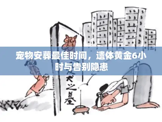 宠物安葬最佳时间，遗体黄金6小时与告别隐患