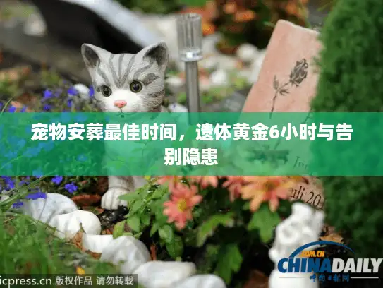 宠物安葬最佳时间，遗体黄金6小时与告别隐患