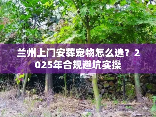 兰州上门安葬宠物怎么选？2025年合规避坑实操