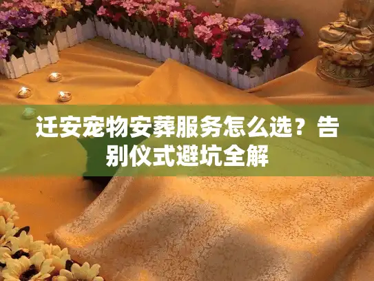 迁安宠物安葬服务怎么选？告别仪式避坑全解