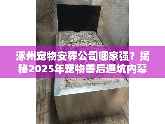 涿州宠物安葬公司哪家强？揭秘2025年宠物善后避坑内幕