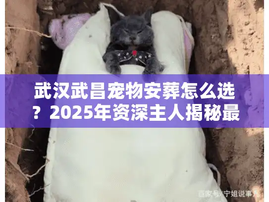 武汉武昌宠物安葬怎么选？2025年资深主人揭秘最后体面