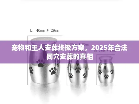宠物和主人安葬终极方案，2025年合法同穴安葬的真相
