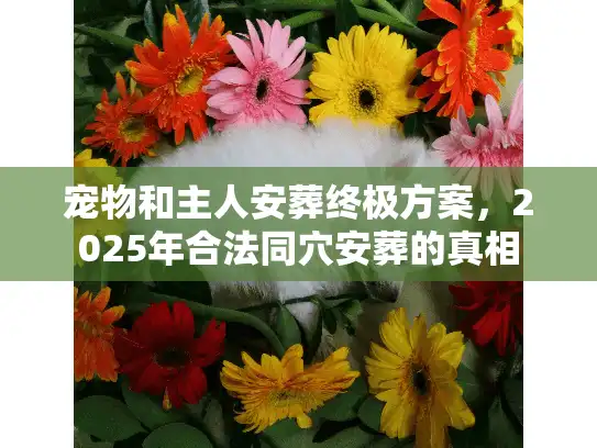 宠物和主人安葬终极方案，2025年合法同穴安葬的真相
