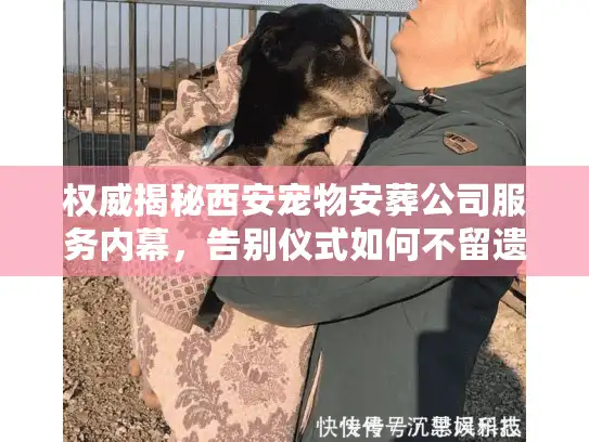 权威揭秘西安宠物安葬公司服务内幕，告别仪式如何不留遗憾