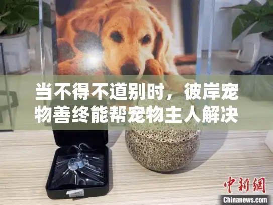 当不得不道别时，彼岸宠物善终能帮宠物主人解决哪些问题？