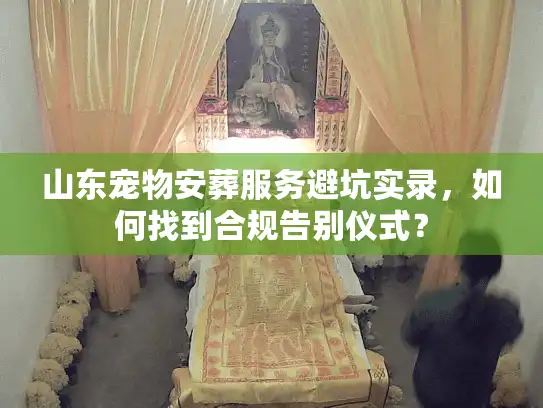 山东宠物安葬服务避坑实录，如何找到合规告别仪式？