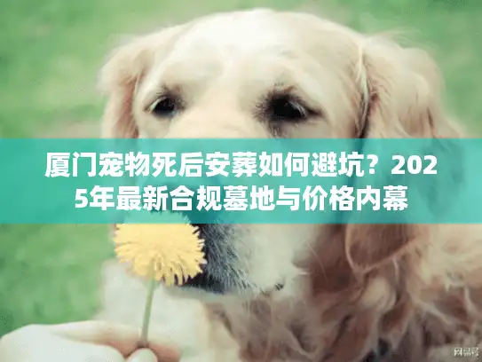 厦门宠物死后安葬如何避坑？2025年最新合规墓地与价格内幕