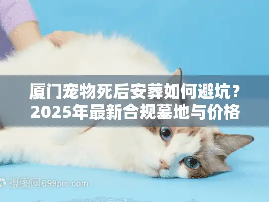 厦门宠物死后安葬如何避坑？2025年最新合规墓地与价格内幕