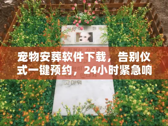 宠物安葬软件下载，告别仪式一键预约，24小时紧急响应靠谱吗？