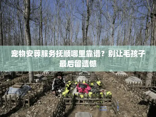 宠物安葬服务抚顺哪里靠谱？别让毛孩子最后留遗憾