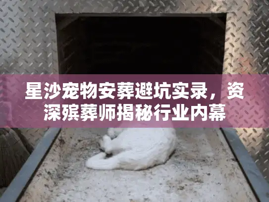 星沙宠物安葬避坑实录，资深殡葬师揭秘行业内幕
