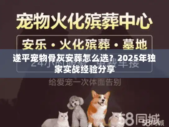 遂平宠物骨灰安葬怎么选？2025年独家实战经验分享
