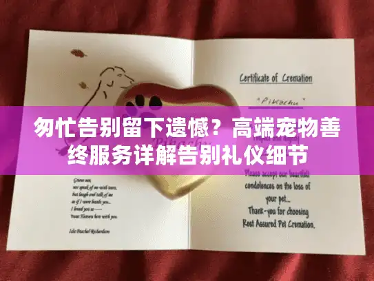 匆忙告别留下遗憾？高端宠物善终服务详解告别礼仪细节