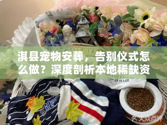 淇县宠物安葬，告别仪式怎么做？深度剖析本地稀缺资源与跨区域服务