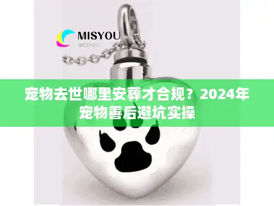 宠物去世哪里安葬才合规？2024年宠物善后避坑实操