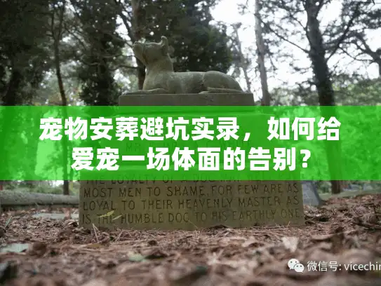 宠物安葬避坑实录，如何给爱宠一场体面的告别？