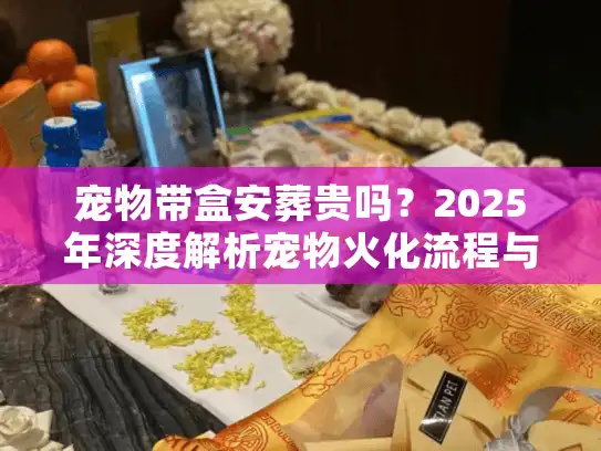 宠物带盒安葬贵吗？2025年深度解析宠物火化流程与骨灰盒选购门道