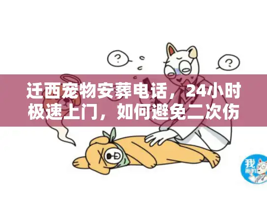 迁西宠物安葬电话，24小时极速上门，如何避免二次伤害的善后方案？