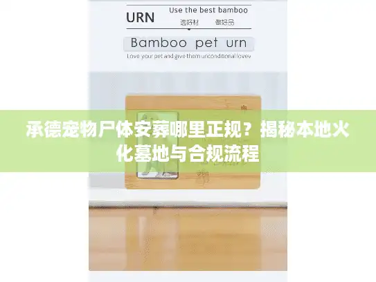 承德宠物尸体安葬哪里正规？揭秘本地火化墓地与合规流程