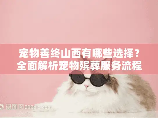 宠物善终山西有哪些选择？全面解析宠物殡葬服务流程与费用