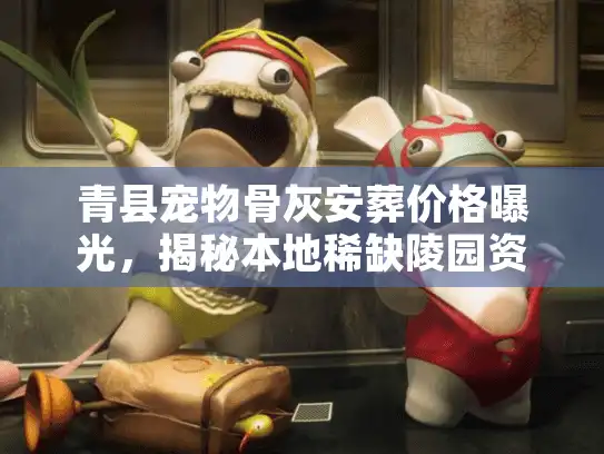 青县宠物骨灰安葬价格曝光，揭秘本地稀缺陵园资源与实战流程