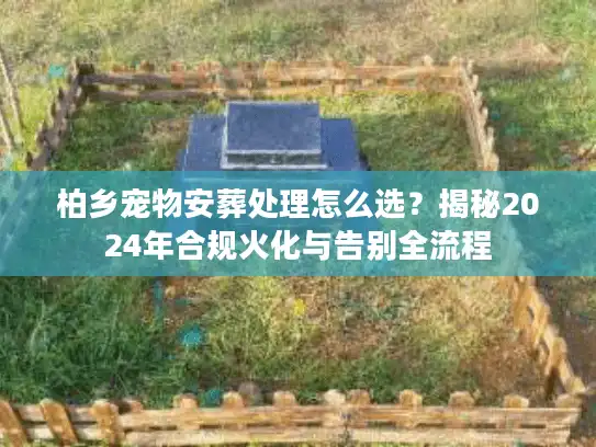 柏乡宠物安葬处理怎么选？揭秘2024年合规火化与告别全流程