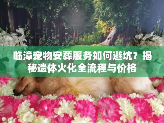 临漳宠物安葬服务如何避坑？揭秘遗体火化全流程与价格