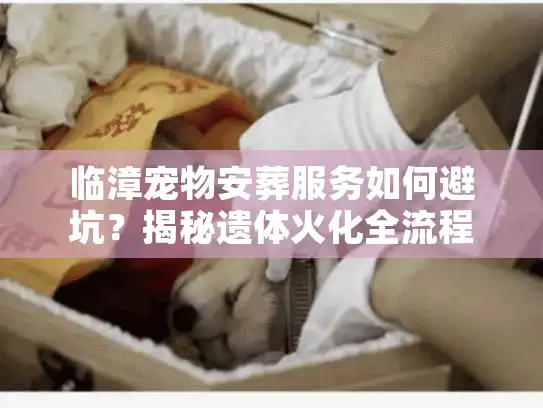 临漳宠物安葬服务如何避坑？揭秘遗体火化全流程与价格