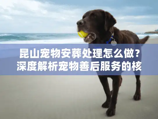 昆山宠物安葬处理怎么做？深度解析宠物善后服务的核心门道
