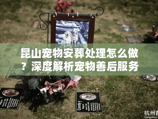 昆山宠物安葬处理怎么做？深度解析宠物善后服务的核心门道