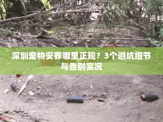 深圳宠物安葬哪里正规？3个避坑细节与告别实况