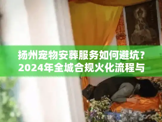 扬州宠物安葬服务如何避坑？2024年全城合规火化流程与价格揭秘