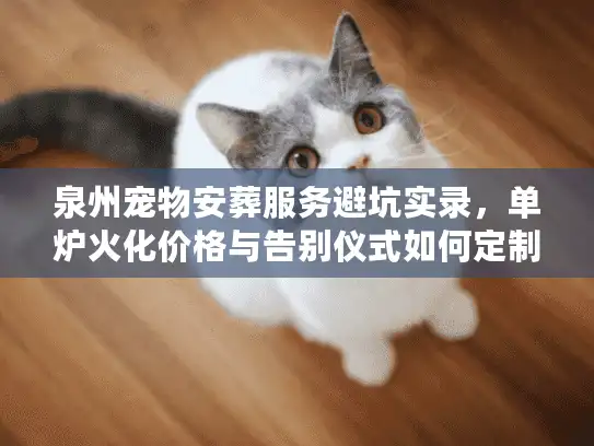 泉州宠物安葬服务避坑实录，单炉火化价格与告别仪式如何定制？