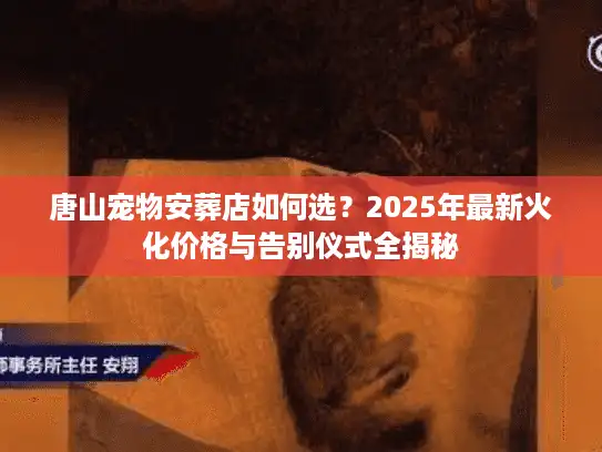 唐山宠物安葬店如何选？2025年最新火化价格与告别仪式全揭秘