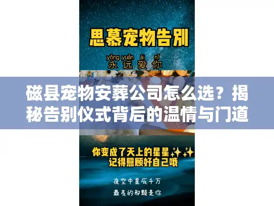 磁县宠物安葬公司怎么选？揭秘告别仪式背后的温情与门道