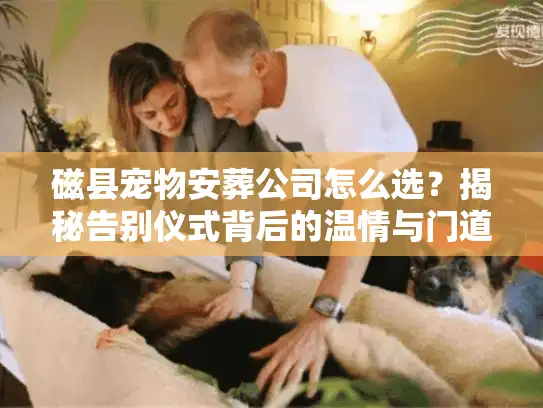 磁县宠物安葬公司怎么选？揭秘告别仪式背后的温情与门道