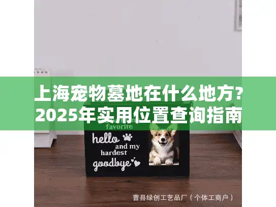 上海宠物墓地在什么地方?2025年实用位置查询指南