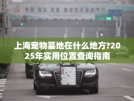 上海宠物墓地在什么地方?2025年实用位置查询指南