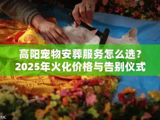 高阳宠物安葬服务怎么选？2025年火化价格与告别仪式避坑
